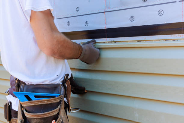 Best Custom Trim and Detailing for Siding  in Tipton, IA