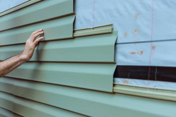 Best Stone Veneer Siding  in Tipton, IA
